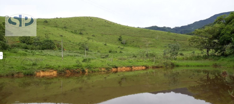 Imagem Terreno à Venda, 1.300.000 m² em Vale Do Paraiba - Piquete