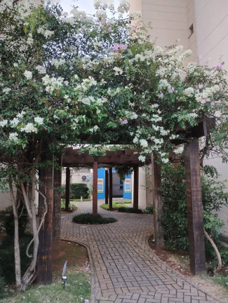 Imagem Apartamento com 2 Quartos à Venda,  em Presidente Altino - Osasco