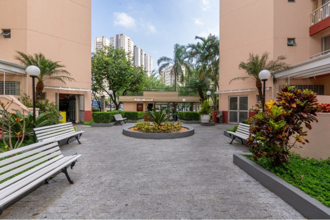 Imagem Apartamento com 2 Quartos à Venda, 48 m² em Vila Constança - São Paulo Imagem Apartamento com 2 Quartos à Venda, 48 m² em Vila Constança - São Paulo