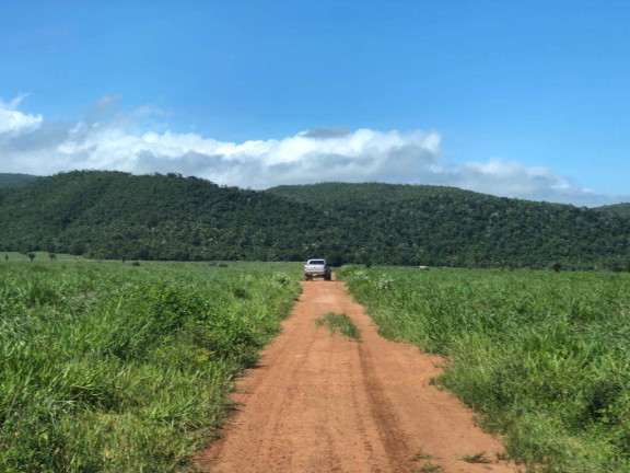 Imagem Fazenda à Venda, 15.000 m² em Mato Grosso Imagem Fazenda à Venda, 15.000 m² em Mato Grosso