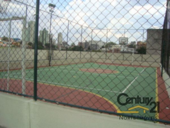 Imagem Apartamento com 3 Quartos à Venda, em Vila Mazzei - São Paulo Imagem Apartamento com 3 Quartos à Venda, em Vila Mazzei - São Paulo