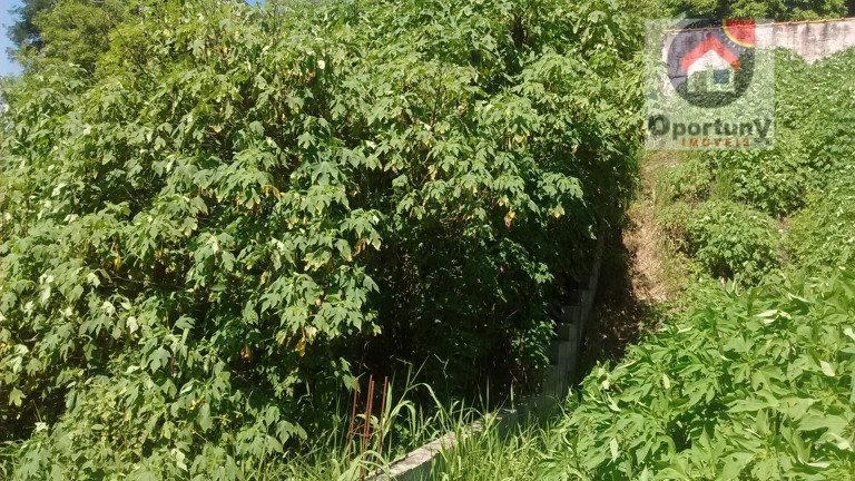 Imagem Terreno à Venda, 367 m² em Jardim Fortaleza - Guarulhos