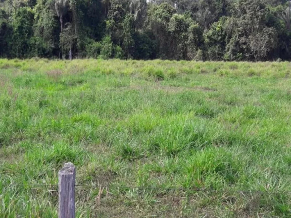 Imagem Fazenda à Venda, 28 m² em Chácara De Lazer Monaliza - Sinop Imagem Fazenda à Venda, 28 m² em Chácara De Lazer Monaliza - Sinop