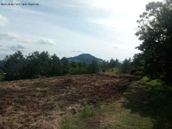 Imagem Terreno à Venda, 4 m² em Pinhal Alto - Nova Petrópolis