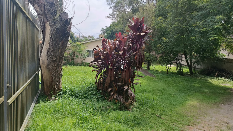 Imagem Terreno à Venda, 666 m² em Ahú - Curitiba Imagem Terreno à Venda, 666 m² em Ahú - Curitiba