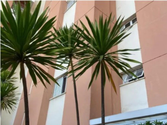 Imagem Imóvel com 1 Quarto à Venda, 43 m² em Casa Branca - Santo André