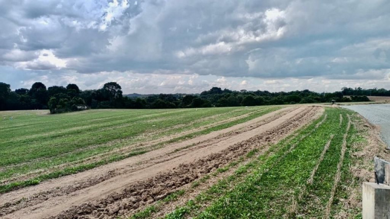 Imagem Fazenda à Venda, em Zona Rural - Araucaria Imagem Fazenda à Venda, em Zona Rural - Araucaria