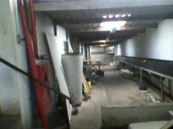 Imagem Imóvel à Venda, 800 m² em Mansões Santo Antonio - Campinas Imagem Imóvel à Venda, 800 m² em Mansões Santo Antonio - Campinas