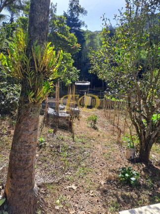 Imagem Chácara com 4 Quartos à Venda, 4.000 m² em Joanópolis Imagem Chácara com 4 Quartos à Venda, 4.000 m² em Joanópolis