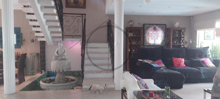 Imagem Casa com 3 Quartos à Venda, 442 m² em Vila Floresta - Santo André