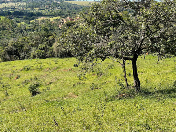Imagem Terreno à Venda, 5 m² em Centro - Itatiaiuçu Imagem Terreno à Venda, 5 m² em Centro - Itatiaiuçu