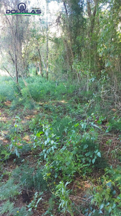 Imagem Terreno à Venda, 2.400 m² em Viamão Imagem Terreno à Venda, 2.400 m² em Viamão