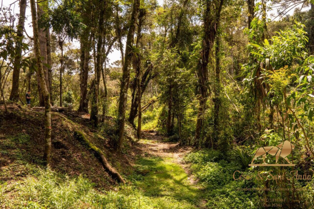 Imagem Terreno à Venda, 3.132 m² em Campos Do Jordão Imagem Terreno à Venda, 3.132 m² em Campos Do Jordão