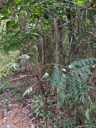 Imagem Terreno à Venda, 10.000 m² em São Sebastião - Betim Imagem Terreno à Venda, 10.000 m² em São Sebastião - Betim