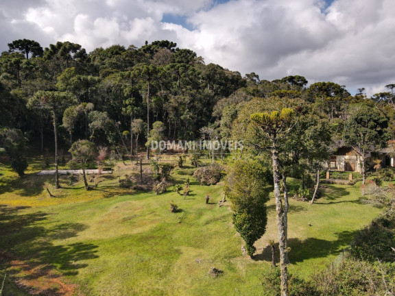 Imagem Casa com 3 Quartos à Venda, 400 m² em Região De Descansópolis - Campos Do Jordão Imagem Casa com 3 Quartos à Venda, 400 m² em Região De Descansópolis - Campos Do Jordão