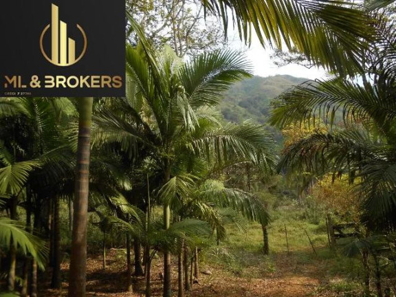 Imagem Imóvel com 2 Quartos à Venda, 24.000 m² em Pinhalzinho - Adrianopolis