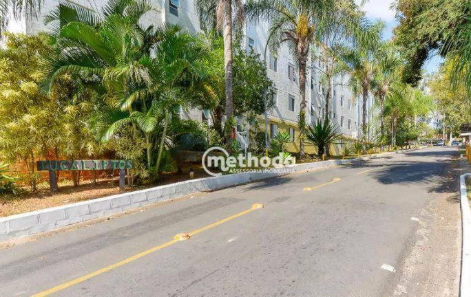 Imagem Apartamento com 2 Quartos à Venda, 50 m² em Vila Padre Manoel De Nóbrega - Campinas Imagem Apartamento com 2 Quartos à Venda, 50 m² em Vila Padre Manoel De Nóbrega - Campinas