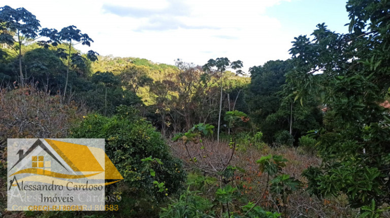 Imagem Chácara com 3 Quartos à Venda, 146.000 m²