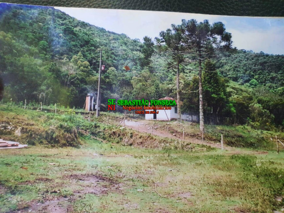 Fazenda à Venda, 200 m² em Centro - Maria Da Fé
