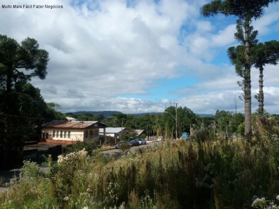 Terreno à Venda, 1.051 m² em Vila Germânia - Nova Petrópolis