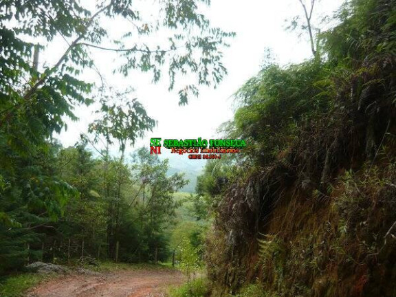 Imagem Chácara à Venda, 30.000 m² em Ponte Nova - Monteiro Lobato Imagem Chácara à Venda, 30.000 m² em Ponte Nova - Monteiro Lobato