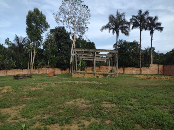 Imagem Terreno à Venda, 11.670 m² em Flores - Manaus