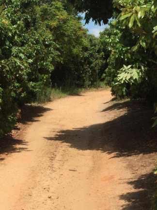 Imagem Fazenda à Venda, 1.760 m² em Porto Feliz - Porto Feliz