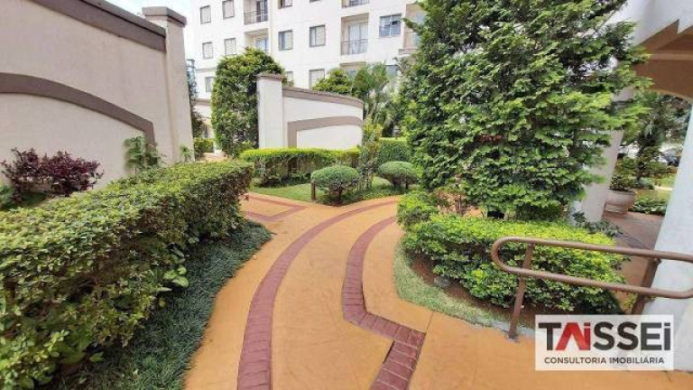 Imagem Apartamento com 4 Quartos à Venda, 62 m² em Vila Santa Catarina - São Paulo Imagem Apartamento com 4 Quartos à Venda, 62 m² em Vila Santa Catarina - São Paulo