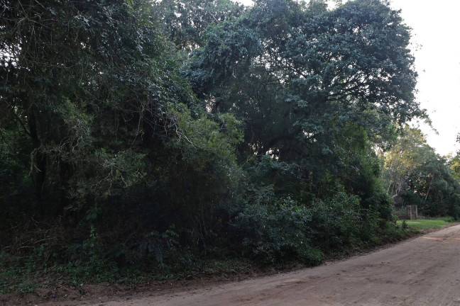 Imagem Terreno à Venda, 1.350 m² em águas Claras - Viamão Imagem Terreno à Venda, 1.350 m² em águas Claras - Viamão