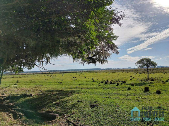Imagem Chácara com 3 Quartos à Venda, 130.000 m² em Túnel Verde - Balneário Pinhal Imagem Chácara com 3 Quartos à Venda, 130.000 m² em Túnel Verde - Balneário Pinhal