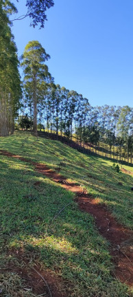 Imagem Imóvel com 5 Quartos à Venda, 2.890.000 m² em Centro - Botucatu