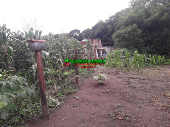 Imagem Chácara à Venda, 1.290 m² em Jardim Santa Hermínia - São José Dos Campos