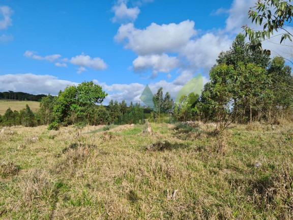 Imagem Chácara com 2 Quartos à Venda, 363.000 m² em Piracaia - Piracaia Imagem Chácara com 2 Quartos à Venda, 363.000 m² em Piracaia - Piracaia
