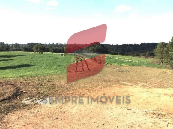 Imagem Terreno à Venda, 20.000 m² em Roseira - São José Dos Pinhais