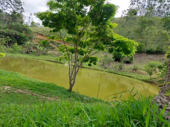 Imagem Imóvel à Venda, em Natividade Da Serra Imagem Imóvel à Venda, em Natividade Da Serra