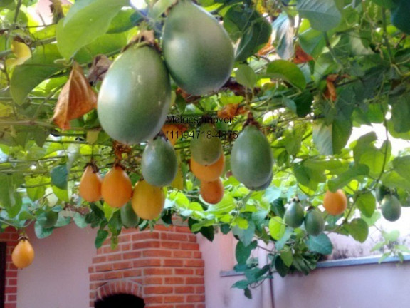 Imagem Sobrado com 3 Quartos à Venda,  em Vila Olímpia - Campo Limpo Paulista