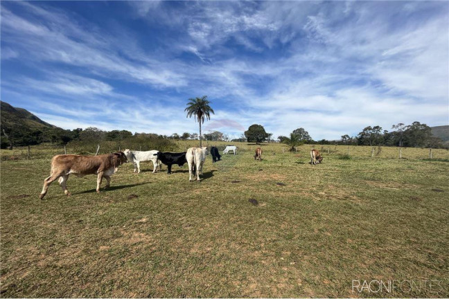 Imagem Fazenda à Venda, 720.000 m² em Centro - São Roque De Minas