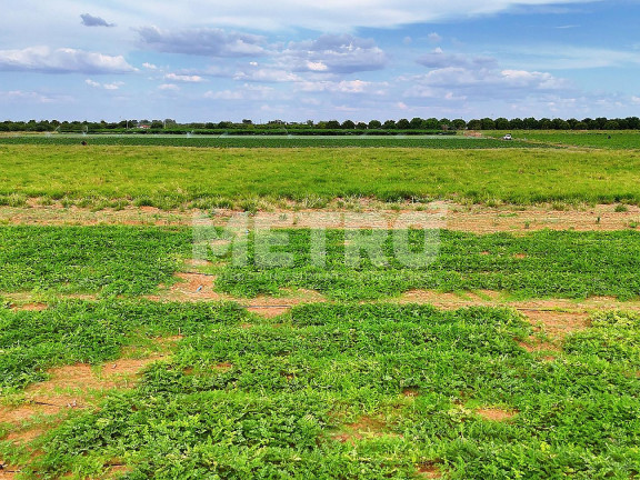 Imagem Fazenda à Venda, em área Rual - Petrolina Imagem Fazenda à Venda, em área Rual - Petrolina