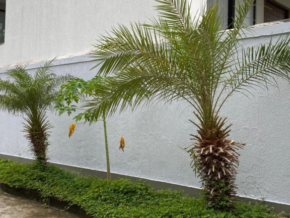 Imagem Imóvel com 3 Quartos à Venda, 552 m² em Campo Grande - Rio De Janeiro