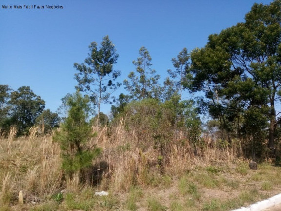 Terreno à Venda, 550 m² em Pousada Da Neve - Nova Petrópolis