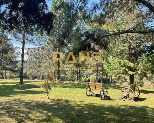Chácara com 3 Quartos à Venda, 30.017 m² em Centro - Campo Alegre