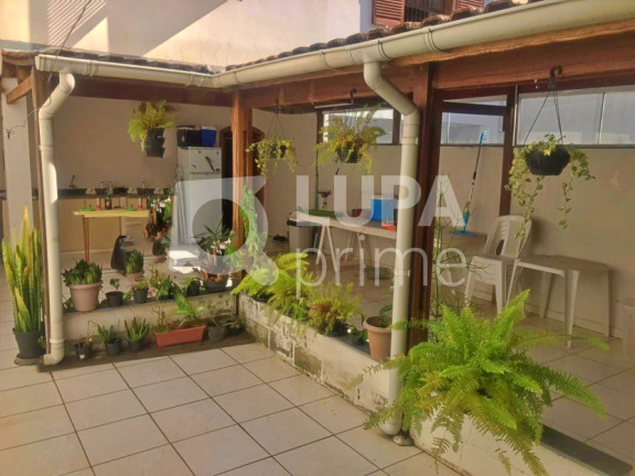 Imagem Casa com 4 Quartos à Venda, 340 m² em Vila Maria - São Paulo Imagem Casa com 4 Quartos à Venda, 340 m² em Vila Maria - São Paulo