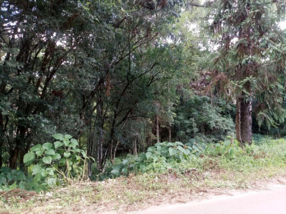 Imagem Terreno à Venda, 3.189 m² em Linha Brasil - Nova Petrópolis Imagem Terreno à Venda, 3.189 m² em Linha Brasil - Nova Petrópolis