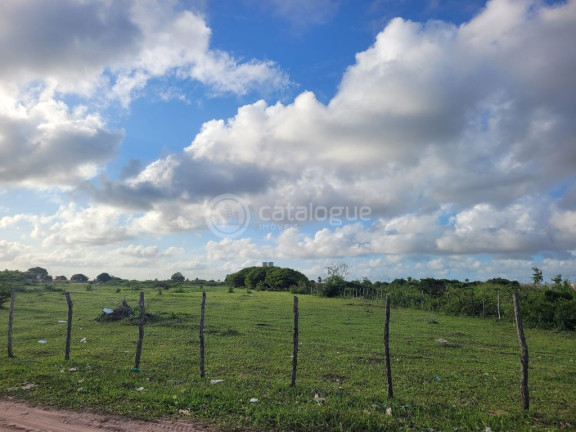 Imagem Terreno à Venda, 170.000 m² em Jardins - São Gonçalo Do Amarante Imagem Terreno à Venda, 170.000 m² em Jardins - São Gonçalo Do Amarante