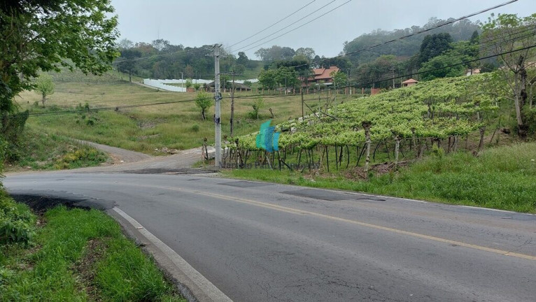 Imagem Terreno à Venda, 10.159 m² em Vale Dos Vinhedos - Bento Gonçalves Imagem Terreno à Venda, 10.159 m² em Vale Dos Vinhedos - Bento Gonçalves