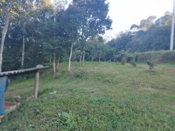 Imagem Terreno à Venda, 2.800 m² em Borghetto - Garibaldi Imagem Terreno à Venda, 2.800 m² em Borghetto - Garibaldi