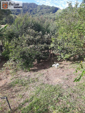 Imagem Chácara com 3 Quartos à Venda, 225 m² em Morro Grande Da Boa Vista - Bragança Paulista Imagem Chácara com 3 Quartos à Venda, 225 m² em Morro Grande Da Boa Vista - Bragança Paulista
