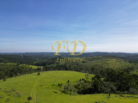 Imóvel Comercial à Venda, 380.000 m² em Terra Preta - Mairiporã