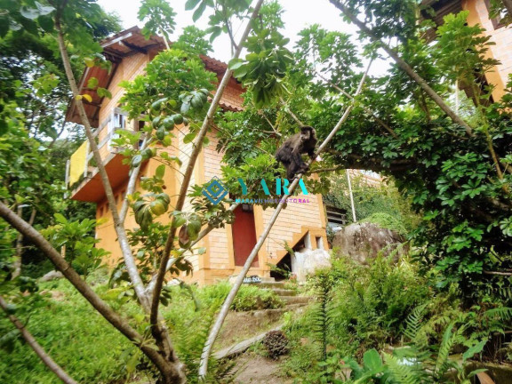 Casa com 10 Quartos à Venda, 10.400 m² em Lagoa Da Conceição - Florianópolis