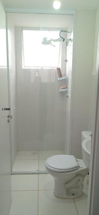 Imagem Apartamento com 2 Quartos para Alugar, 39 m² em Jardim Palos Verdes - Botucatu
